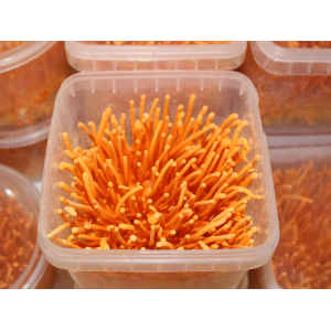 Bảo Quan Đông Trùng Hạ Thảo Như Thế Nào Để Được Lâu Dài Và Hiểu Quả